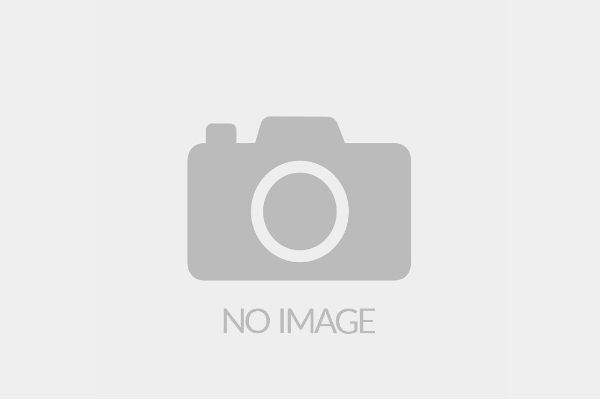 《博德之门3》OST黑胶唱片预购开启 2024年夏季发货