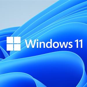 Windows 11全新安装大翻车！开机重启无限循环
